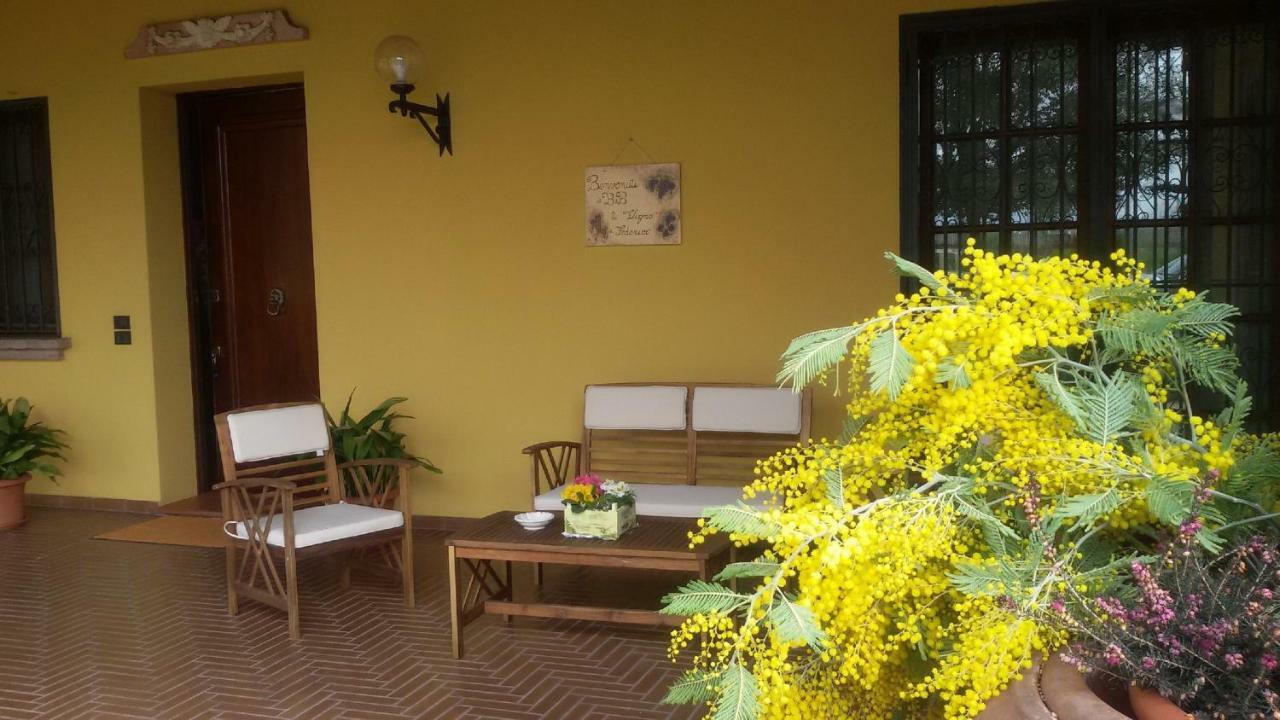רובאנו B&B La Vigna Di Federico מראה חיצוני תמונה