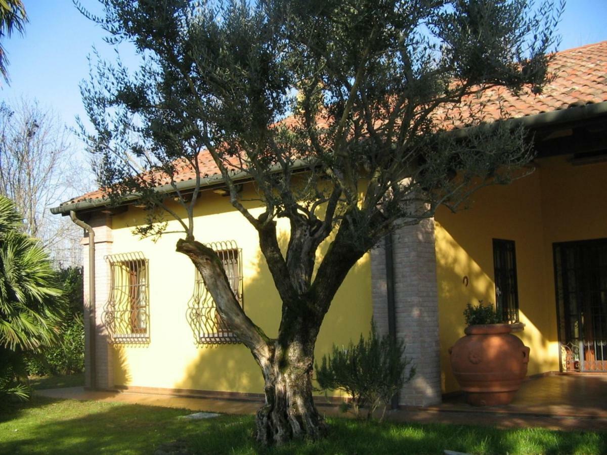 רובאנו B&B La Vigna Di Federico מראה חיצוני תמונה
