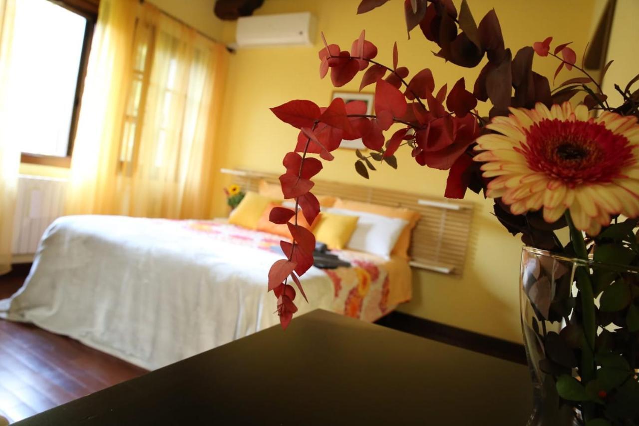 רובאנו B&B La Vigna Di Federico מראה חיצוני תמונה